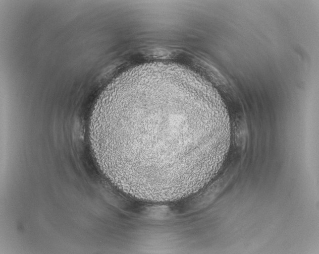 X0000115210374200911181533