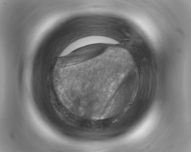 X0000115210383200911181533