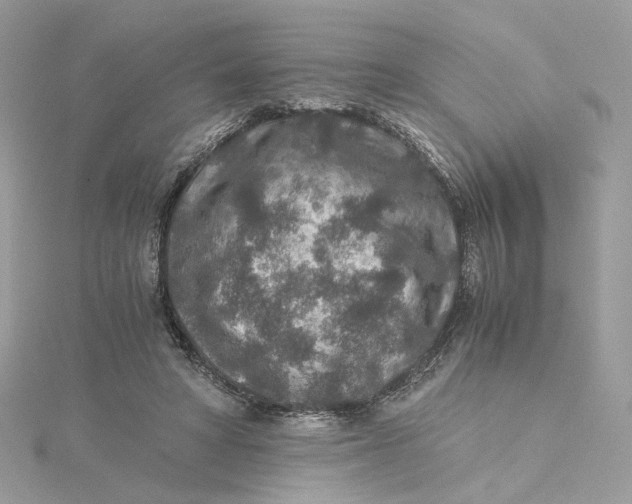 X0000115210402200911181532