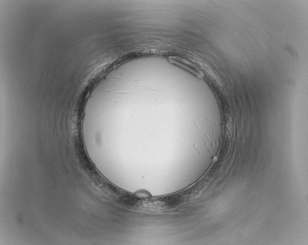 X0000115210403200911181532