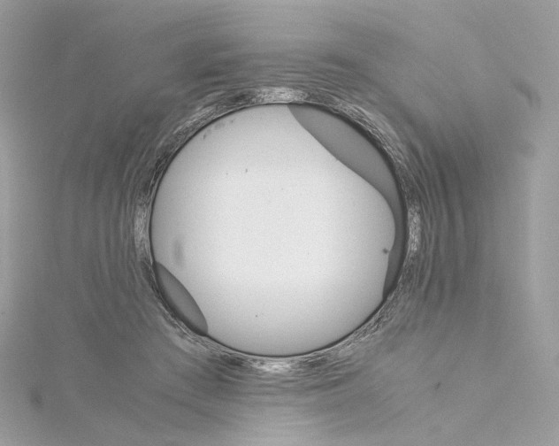 X0000115210409200911181532