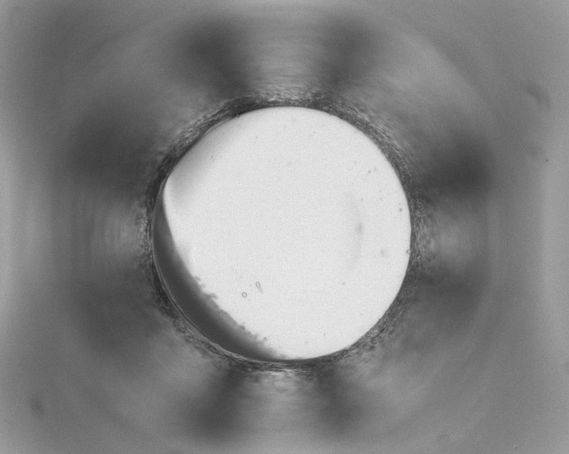 X0000115210411200911181532