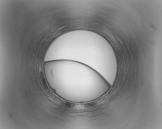 X0000115210413200911181532