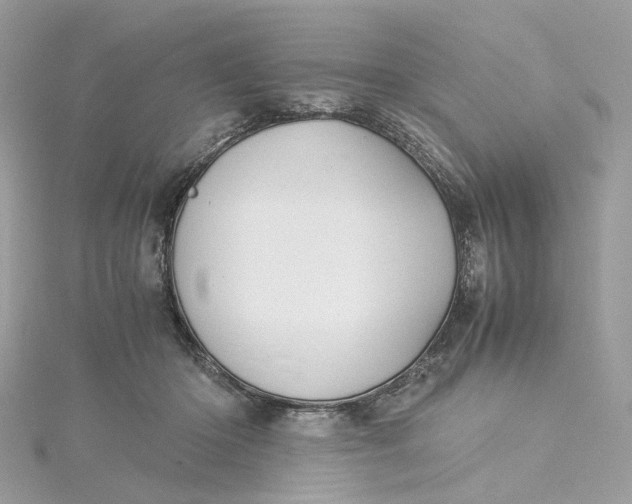 X0000115210414200911181532