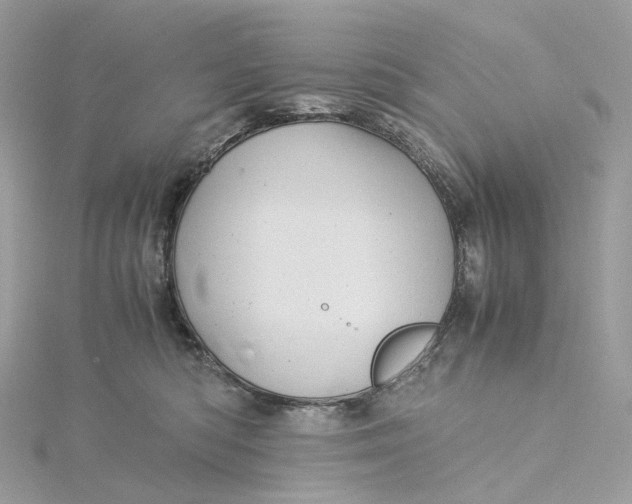 X0000115210422200911181532