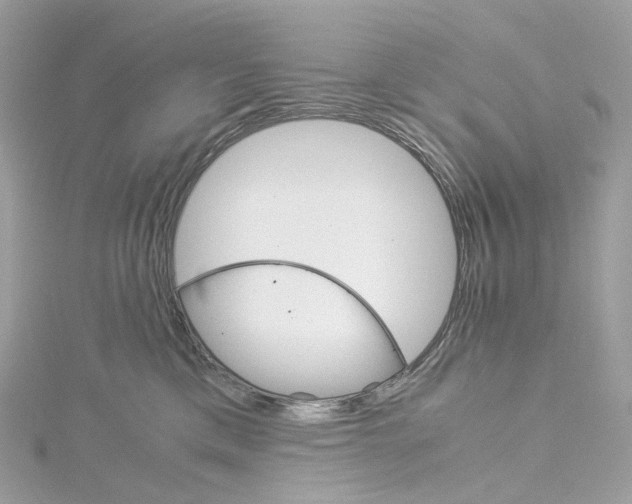 X0000115210425200911181532