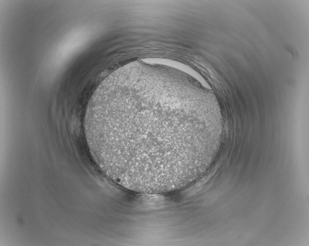 X0000115210429200911181532