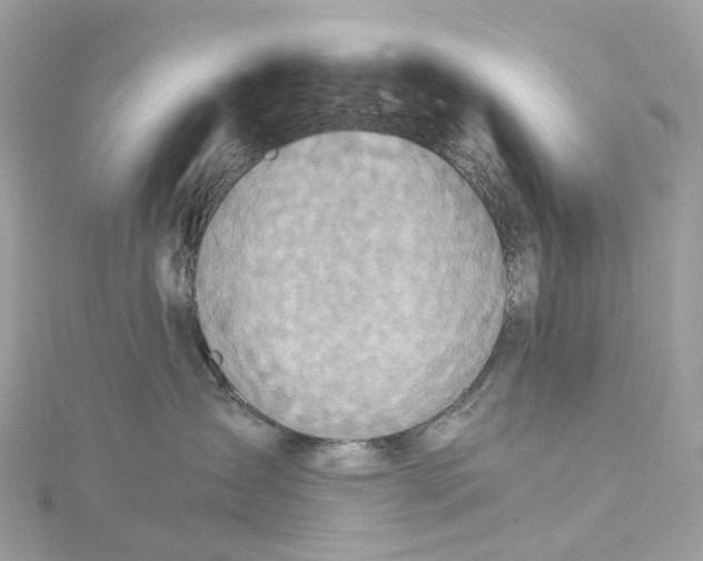 X0000115210431200911181532