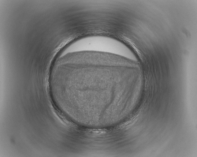 X0000115210443200911181531