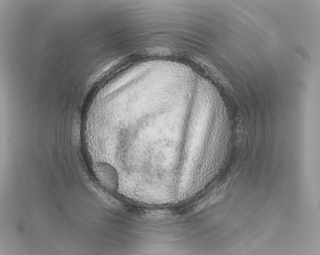 X0000115210446200911181531