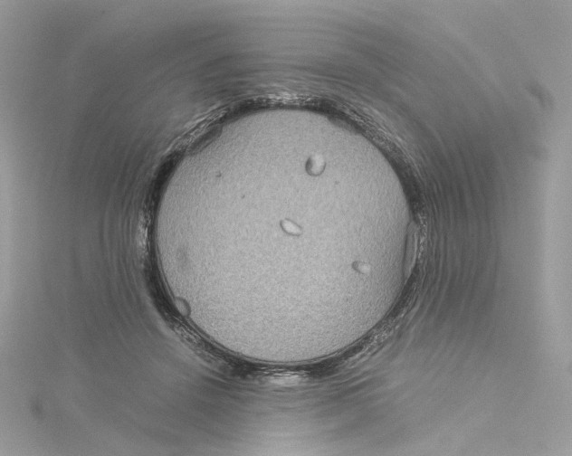 X0000115210456200911181532