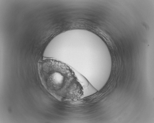 X0000115210465200911181532