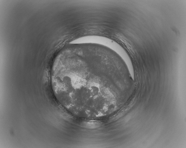 X0000115210467200911181532