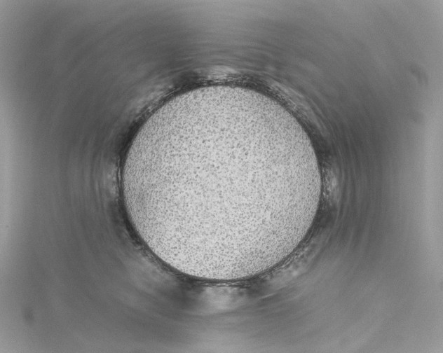 X0000115210470200911181532