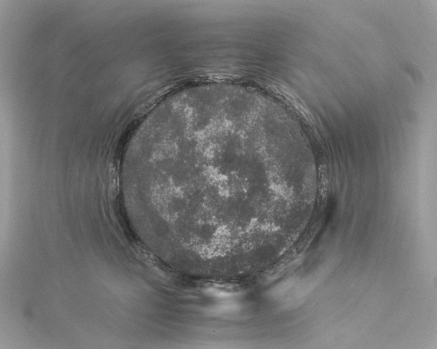 X0000115210471200911181532