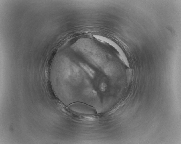 X0000115210475200911181532