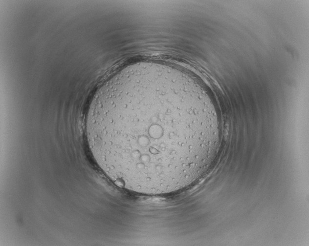 X0000115210476200911181532