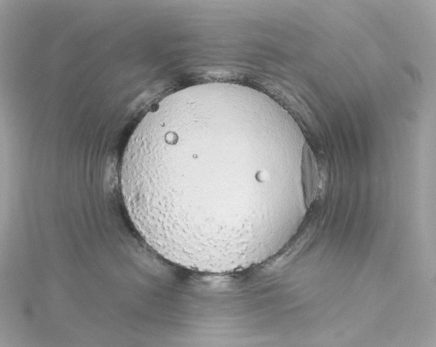 X0000115210478200911181532