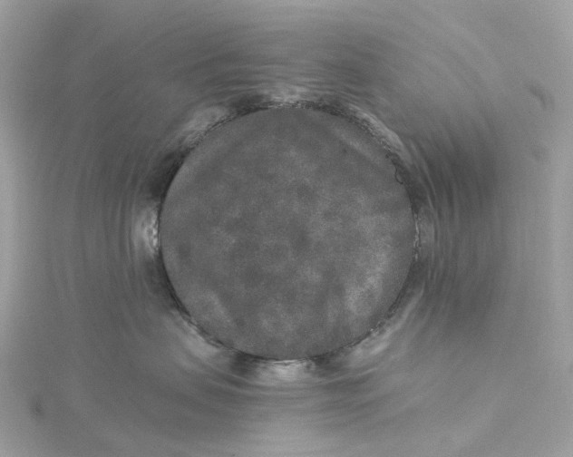 X0000115210479200911181532