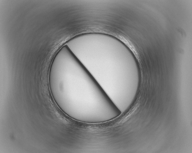 X0000115210481200911181531
