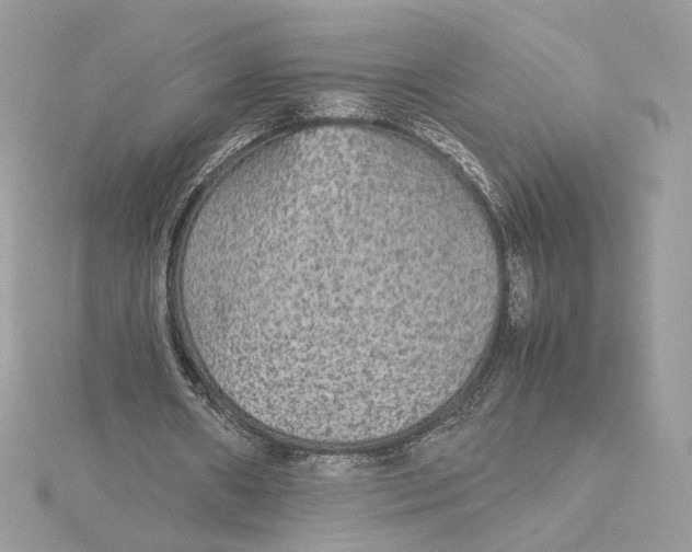 X0000115210482200911181531