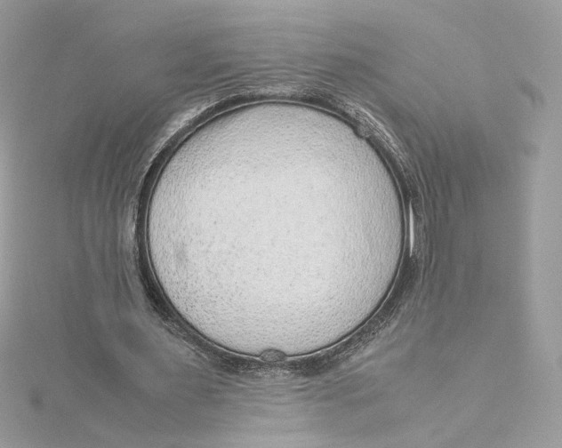 X0000115210483200911181531