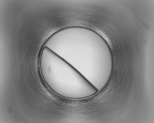 X0000115210485200911181531