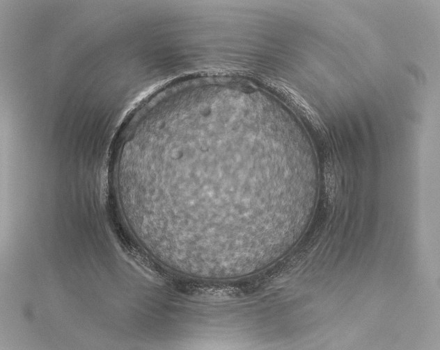 X0000115210488200911181531