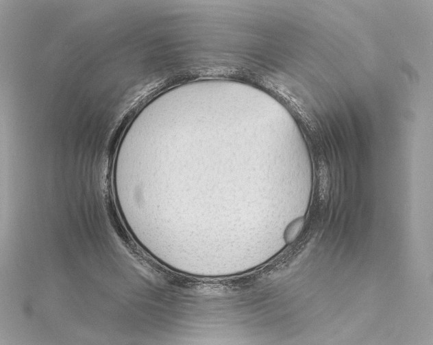 X0000115210490200911181531