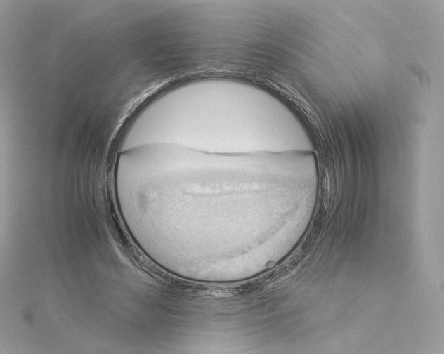 X0000115210492200911181531