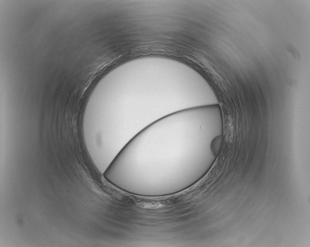 X0000115210500200911181531
