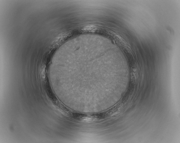 X0000115210504200911181531