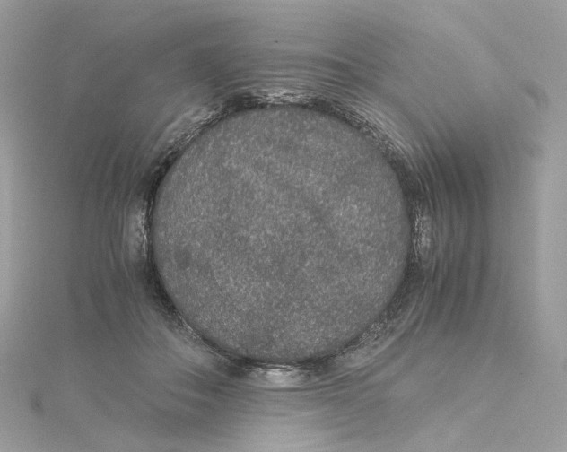 X0000115210506200911181531