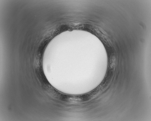 X0000115210515200911181531