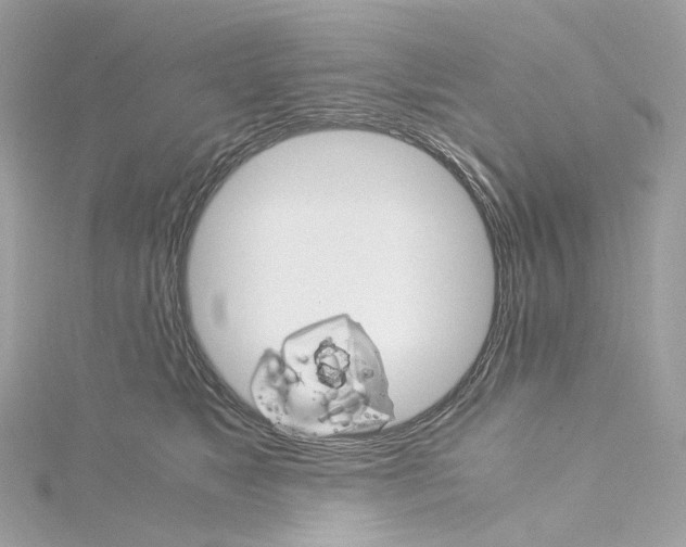 X0000115210517200911181531