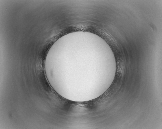 X0000115210518200911181531