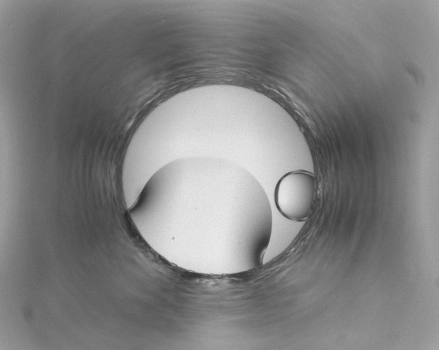X0000115210524200911181531