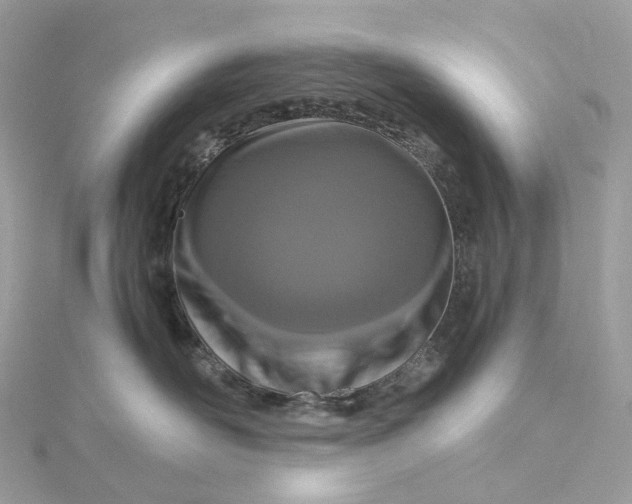 X0000115210526200911181531