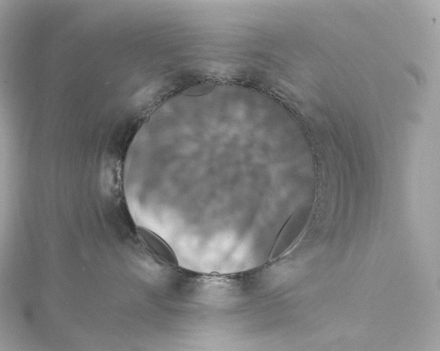 X0000115210528200911181531