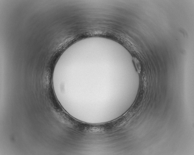 X0000115210546200911181530