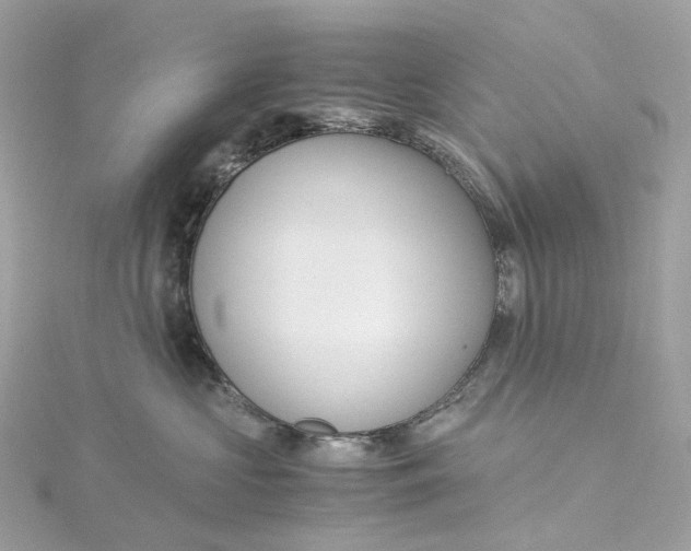 X0000115210573200911181531