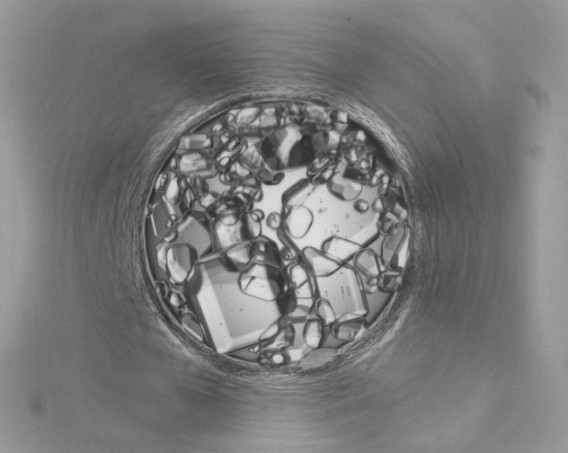 X0000115210577200911181530