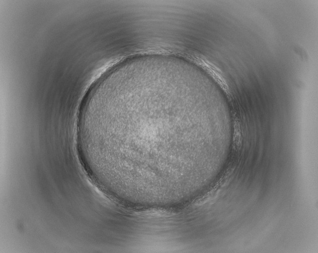 X0000115210578200911181530