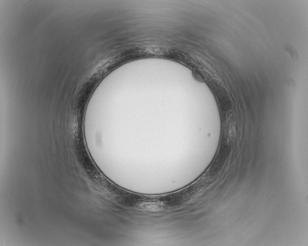 X0000115210595200911181530