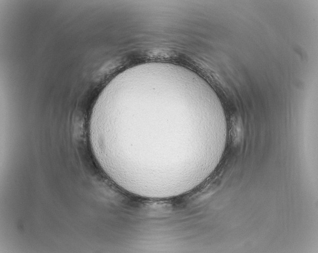 X0000115210619200911181529