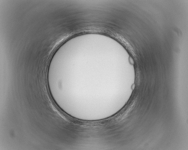 X0000115210625200911181529