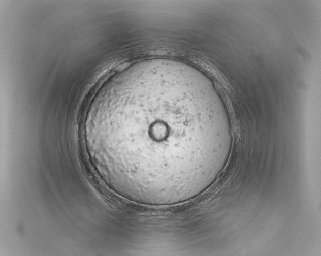 X0000115210626200911181529