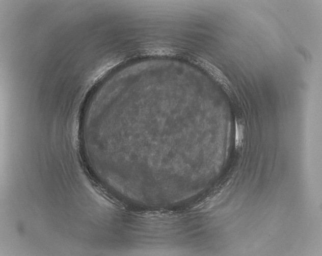 X0000115210627200911181529