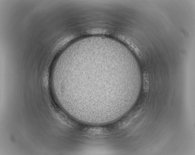 X0000115210631200911181529