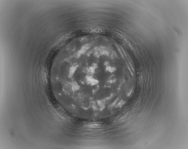 X0000115210643200911181529
